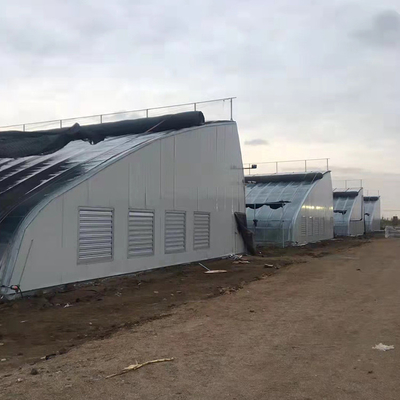 Wärmedämmungs-Vorhang-passives Solargewächshaus mit Clay Back Wall