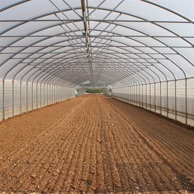 Gemüse-Zucht-einzelne Spannen-Gewächshaus-Landwirtschafts-hoher Tunnel für Sämlinge